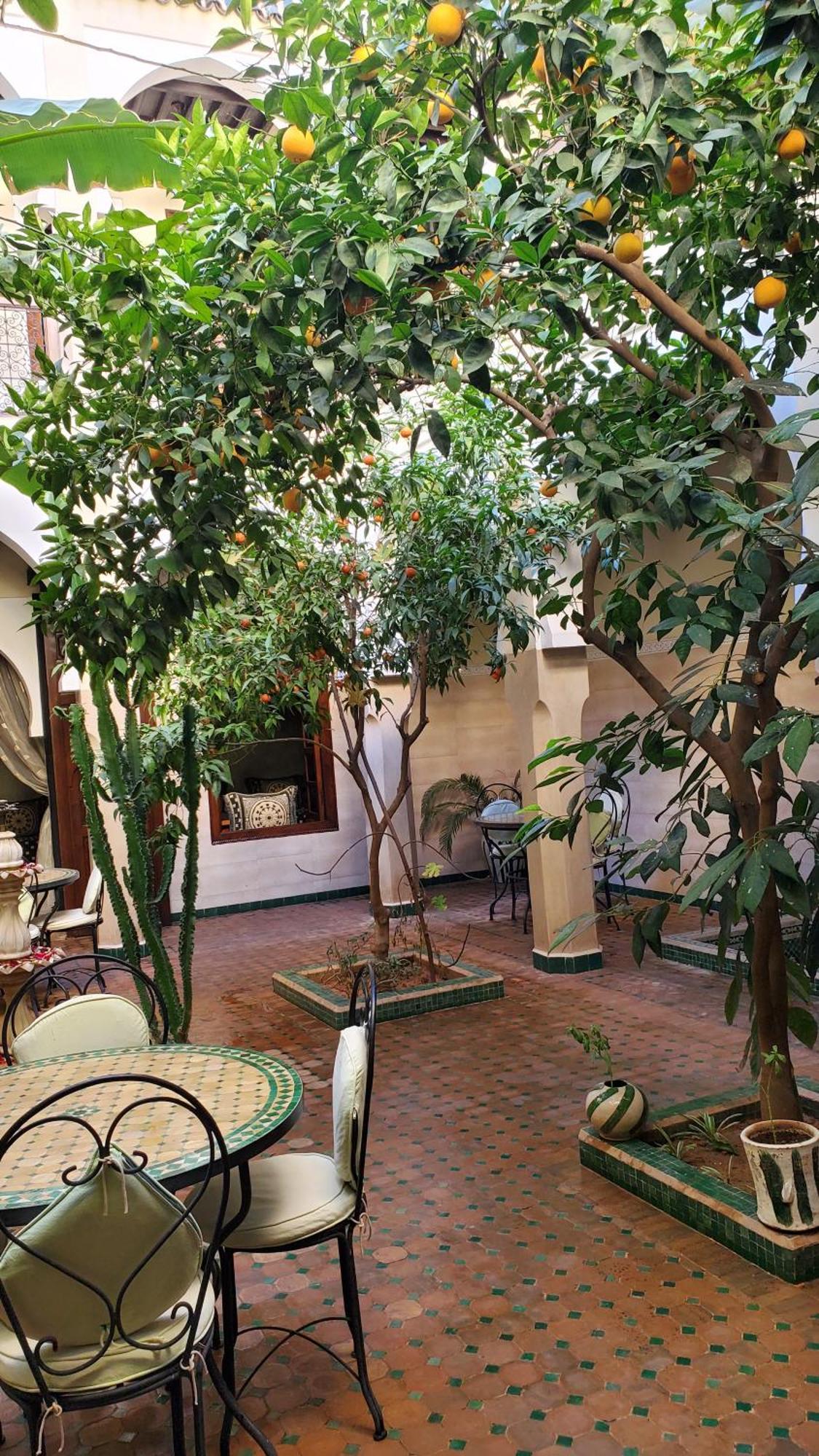 Riad Tidar By Phoenix Marrakesh Ngoại thất bức ảnh