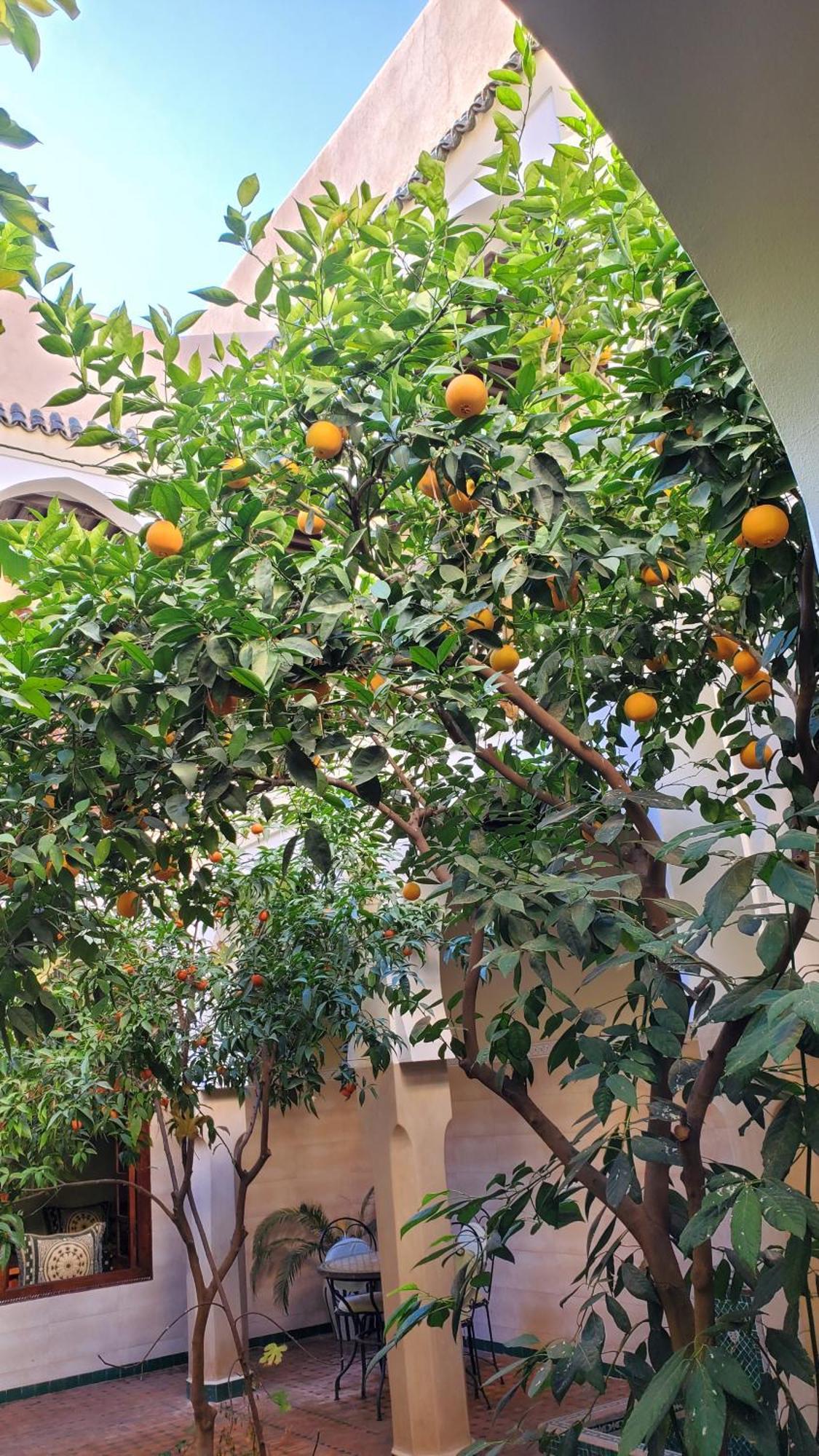 Riad Tidar By Phoenix Marrakesh Ngoại thất bức ảnh