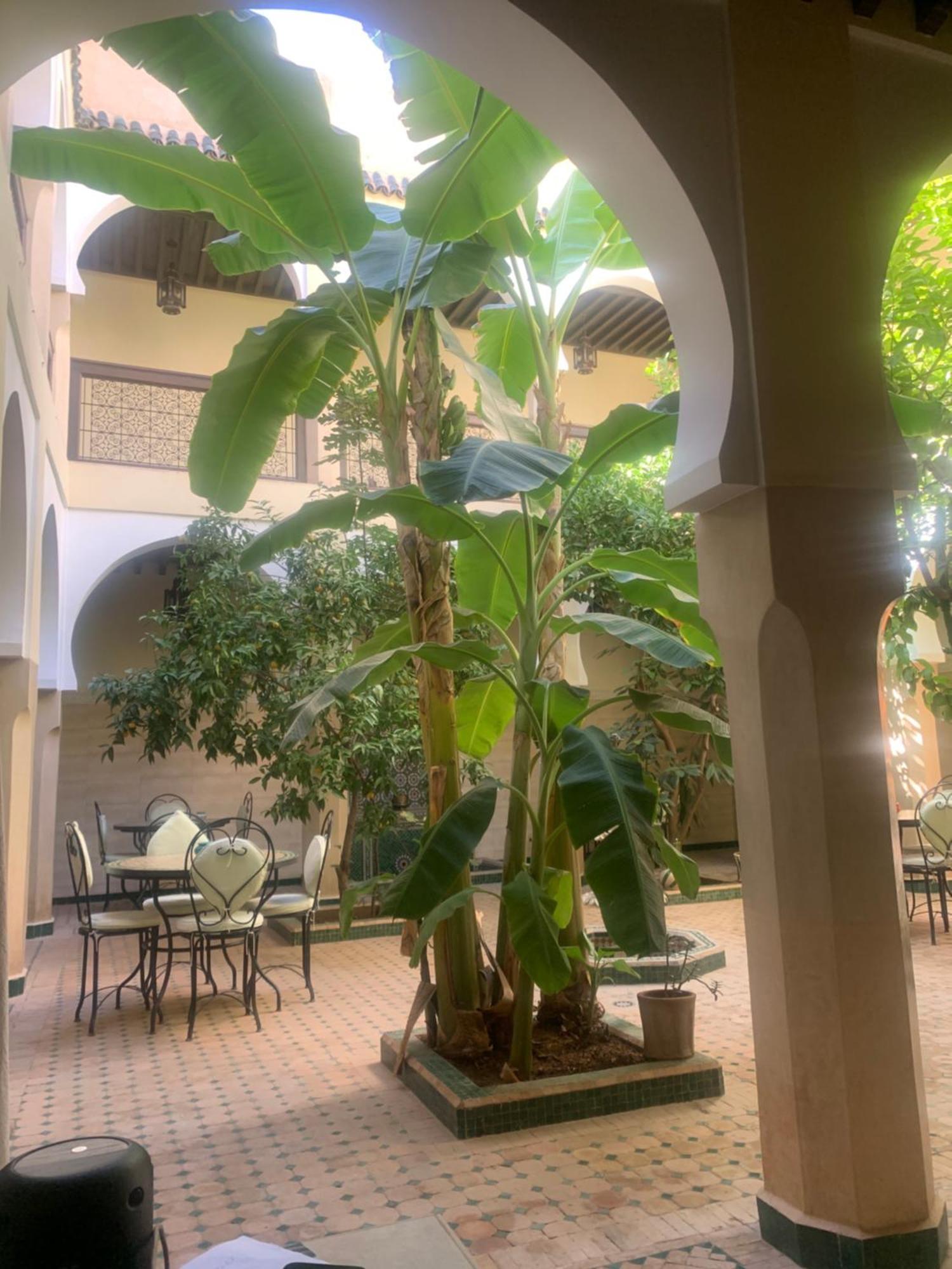Riad Tidar By Phoenix Marrakesh Ngoại thất bức ảnh