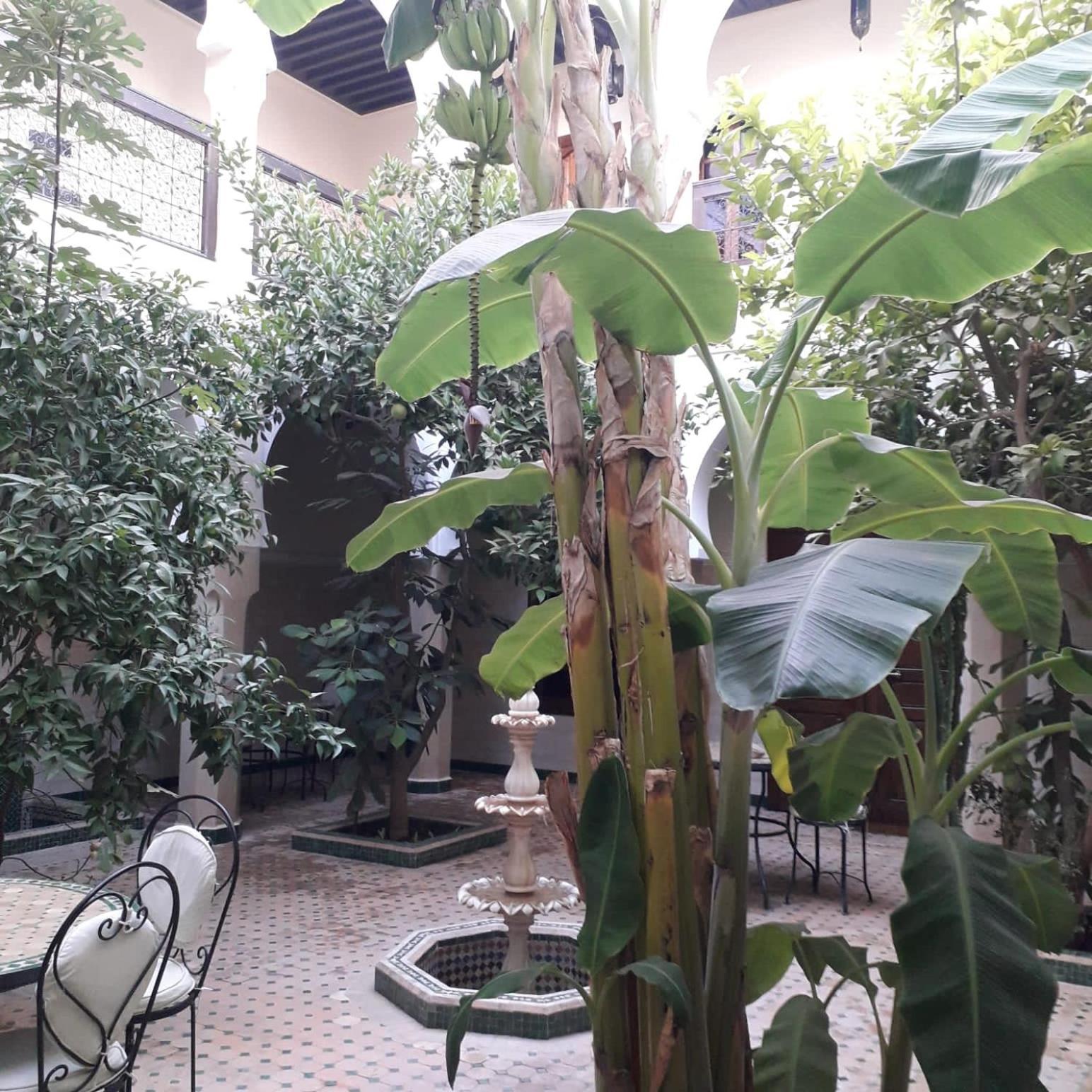 Riad Tidar By Phoenix Marrakesh Ngoại thất bức ảnh